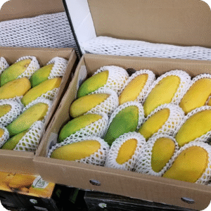 Family Box (10kgs)