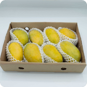 Basic Box (5 kg)